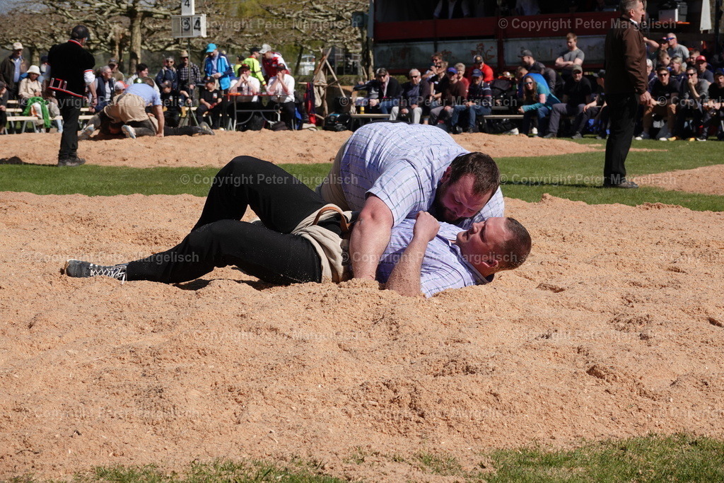 DSC02297 | Schwingen - Realisiert mit Pictrs.com