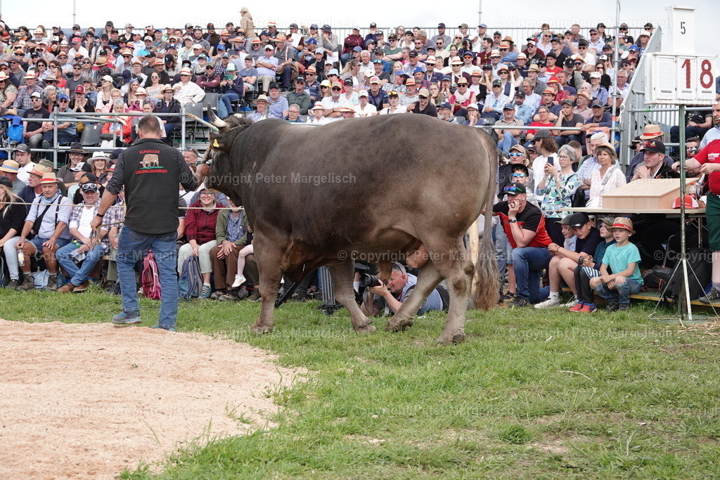 DSC01049 | Schwingen - Realisiert mit Pictrs.com