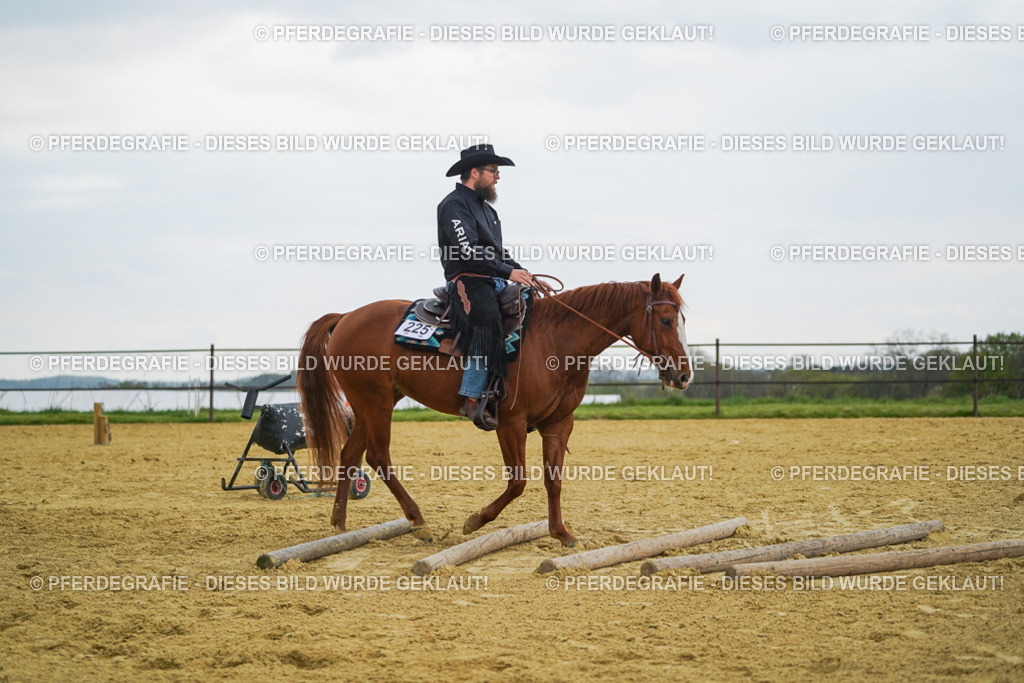 DSC08249 | Pferdegrafie