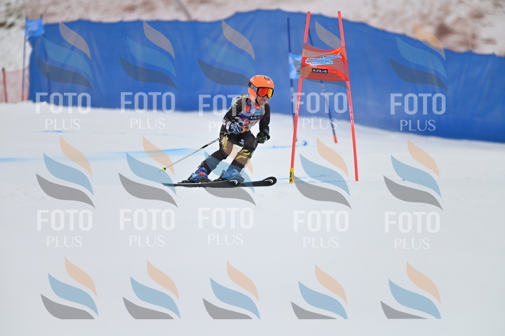 BGV_2429 | holidayphoto