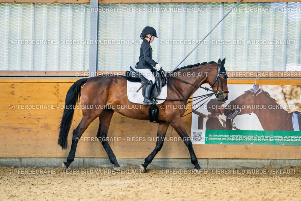 DSC02430 | Pferdegrafie