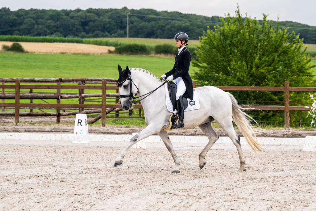 Luxembourg Dressage Championship 2025 - Senior League B | Luxembourg Dressage Championship 2025 - Sarah Scheuermann on Habilidoso - Realisiert mit Pictrs.com
