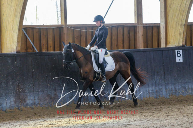 IMG_1002 | Turniersportfotografie; Pferdefotografie; Dressurfotografie