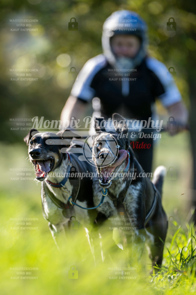 MompixPhotography_20TSB_E3_DS2-44 | PayLife