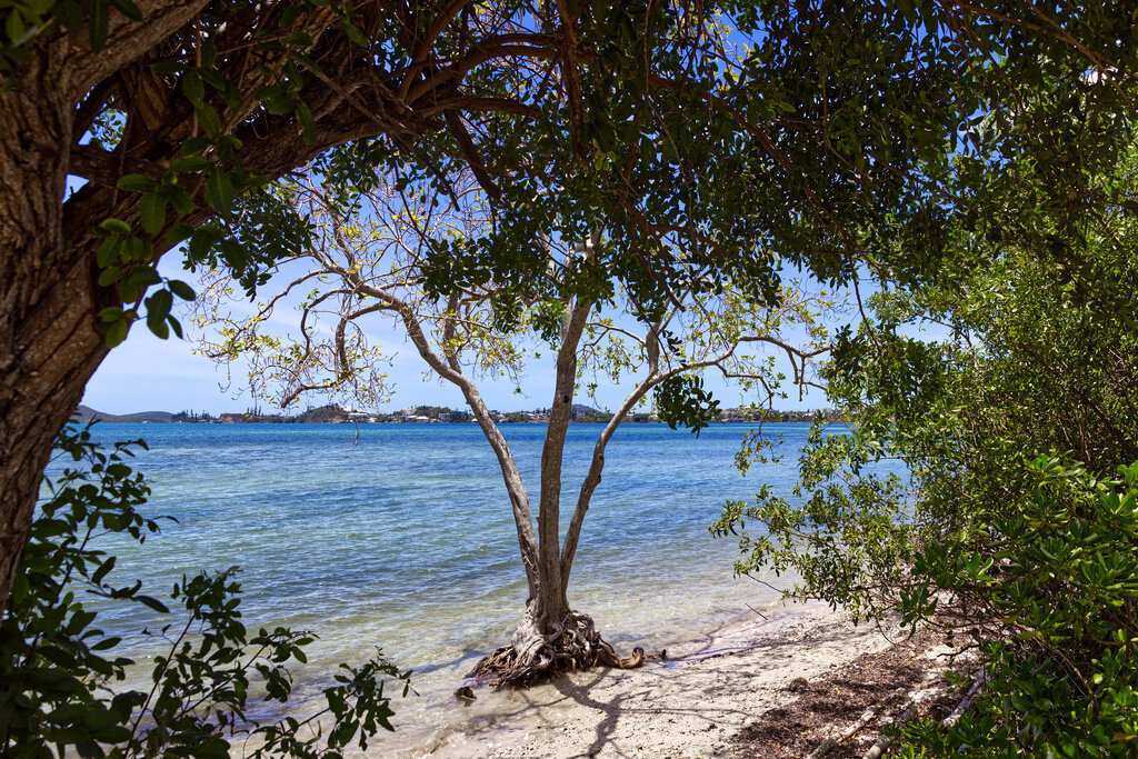 1H5A4813a | ansichtssache