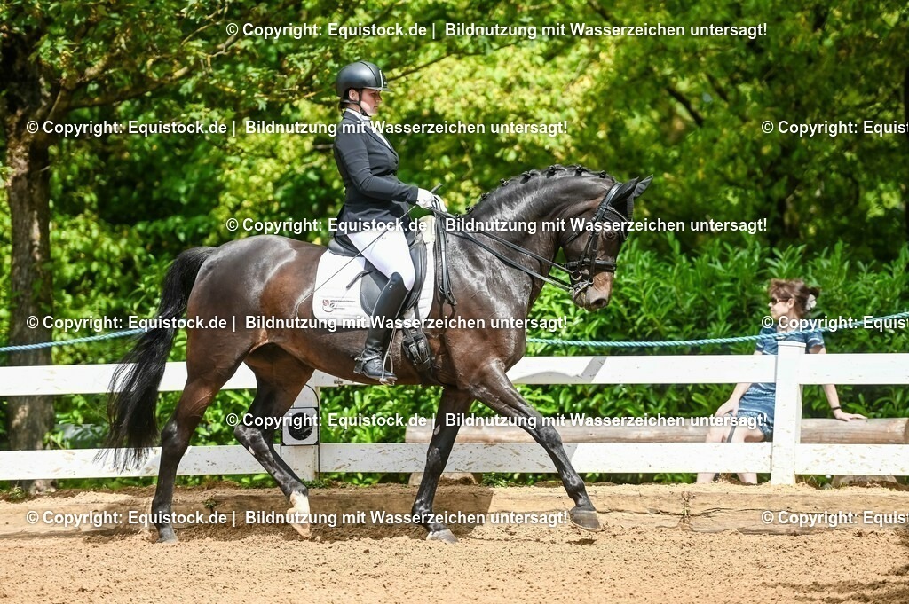 20230716_01_Dressurprüfung Kl.M_0115 | equistock