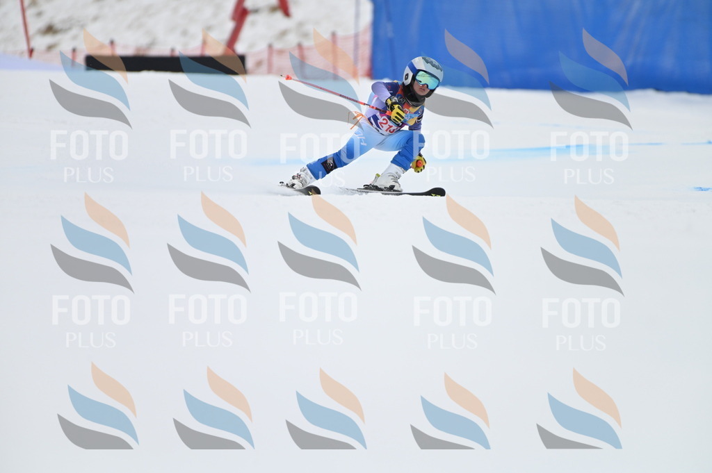 BGV_2571 | holidayphoto