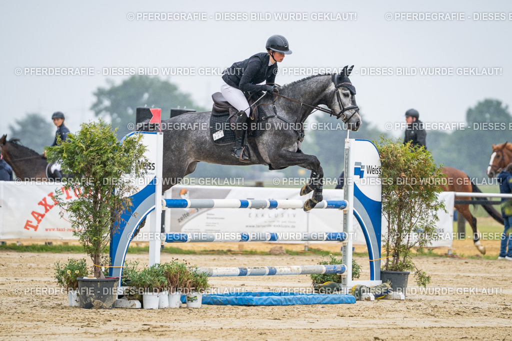 DSC01570 | Pferdegrafie