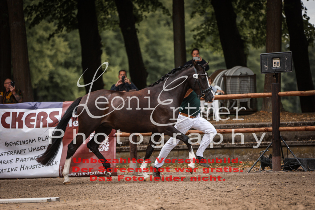 8.So00037 | Leoni Ertmer Photography - Realisiert mit Pictrs.com