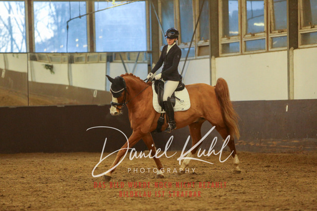 IMG_7070 | Turniersportfotografie; Pferdefotografie; Dressurfotografie