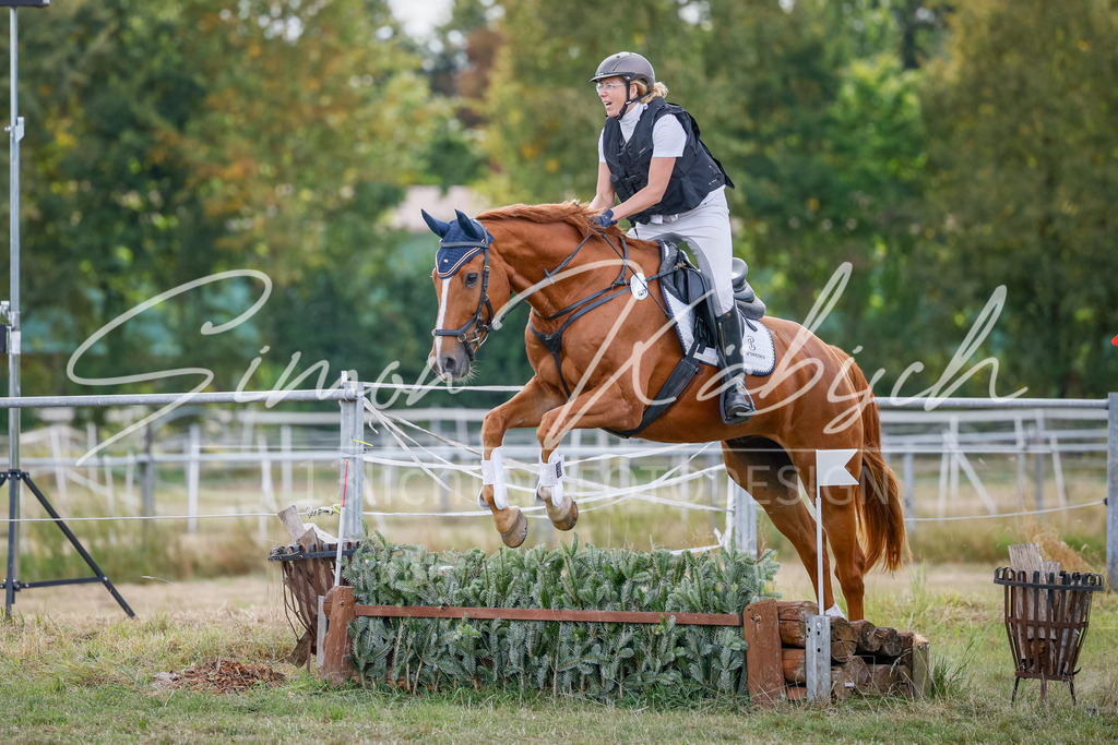 20250905-_3LI0629 | Tierfotografie Pferde, Hunde, Katzen, Haustiere.
Turnierfotografie Reitturniere, Reiten, Springreiten, Dressur in Hanau, dem Main-Kinzig-Kreis und dem Rhein-Main- Gebiet um Frankfurt