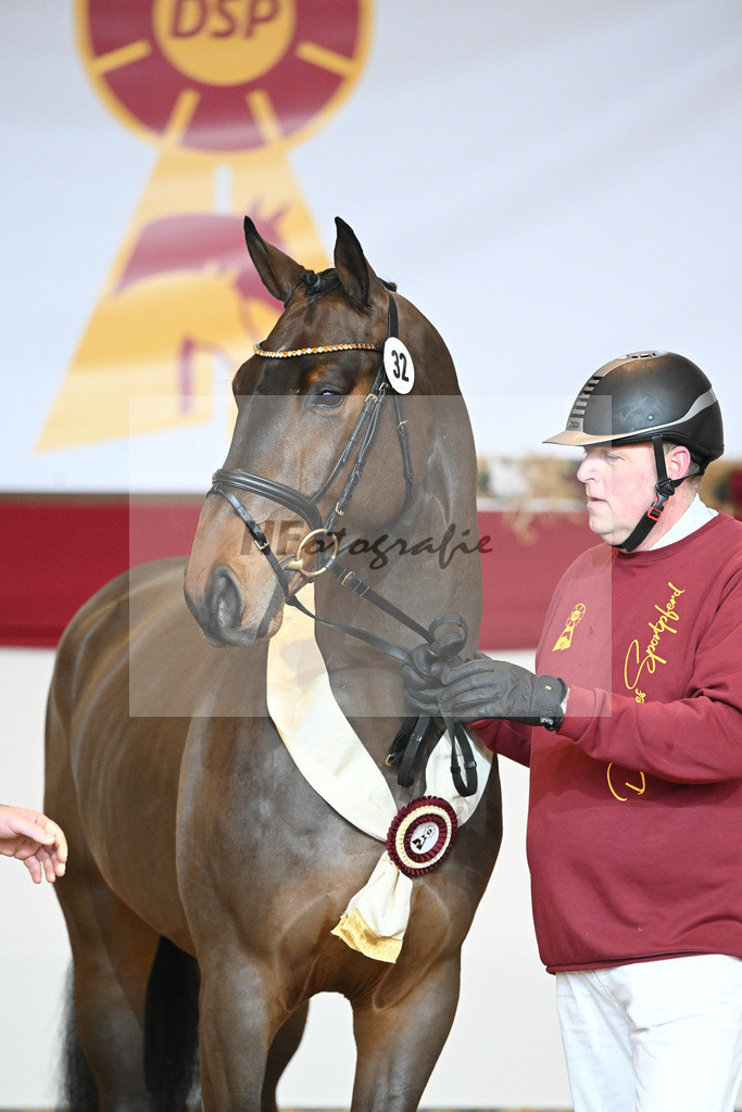 Kat-Nr. 32 Tangelo v d Zuuthoeve_Schlamminger GmbH_1231855 | hf-fotografie - Realisiert mit Pictrs.com