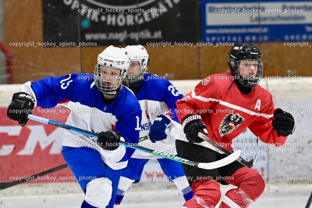 BST_3451 | hockey sports photos, Pressefotos, Sportfotos, hockey247, win 2day icehockeyleague, Handball Austria, Floorball Austria, ÖVV, Kärntner Eishockeyverband, KEHV, KFV, Kärntner Fussballverband, Österreichischer Volleyballverband, Alps Hockey League, ÖFB, 