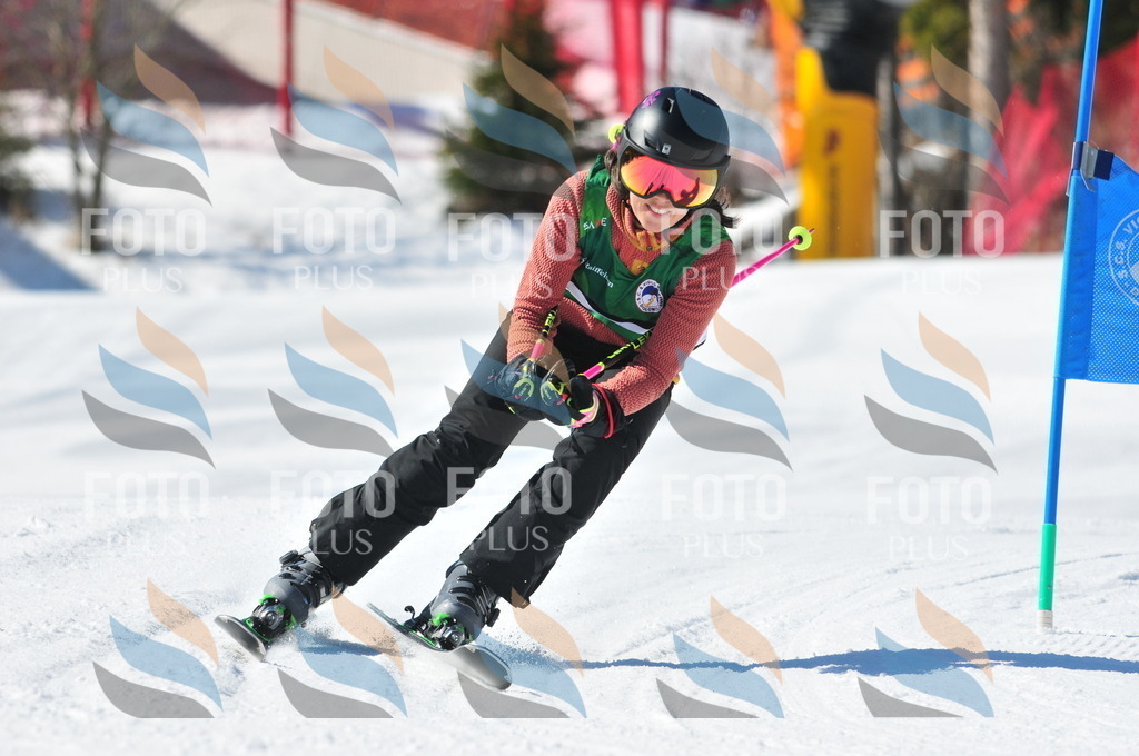 C3991 | holidayphoto