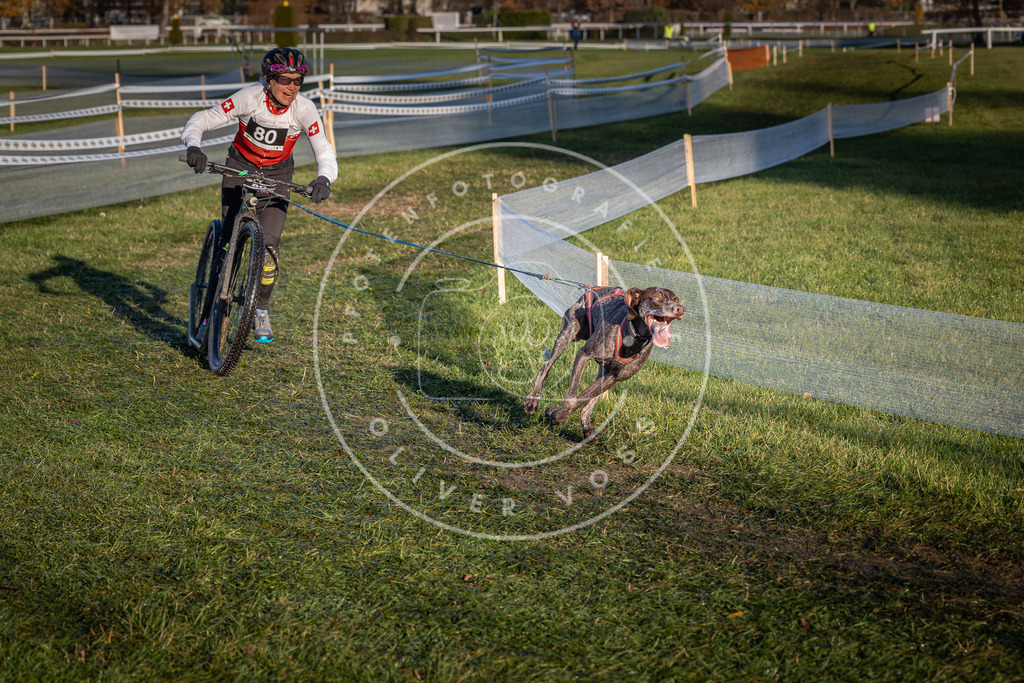 CaniXpix_0L8A3675 | Hundefotografie, Tierfotograf, Pfotenfotografie, Fotoshooting Hund, Hunde Portrait, Hundesport, Hundeportraits, Heideshooting, Hunde, Sportfotograf, Hundefotograf, Turnierhundsport, THS,  - Realisiert mit Pictrs.com