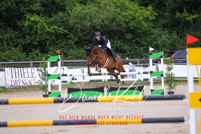 DKP41713 | Turniersportfotografie; Pferdefotografie; Dressurfotografie