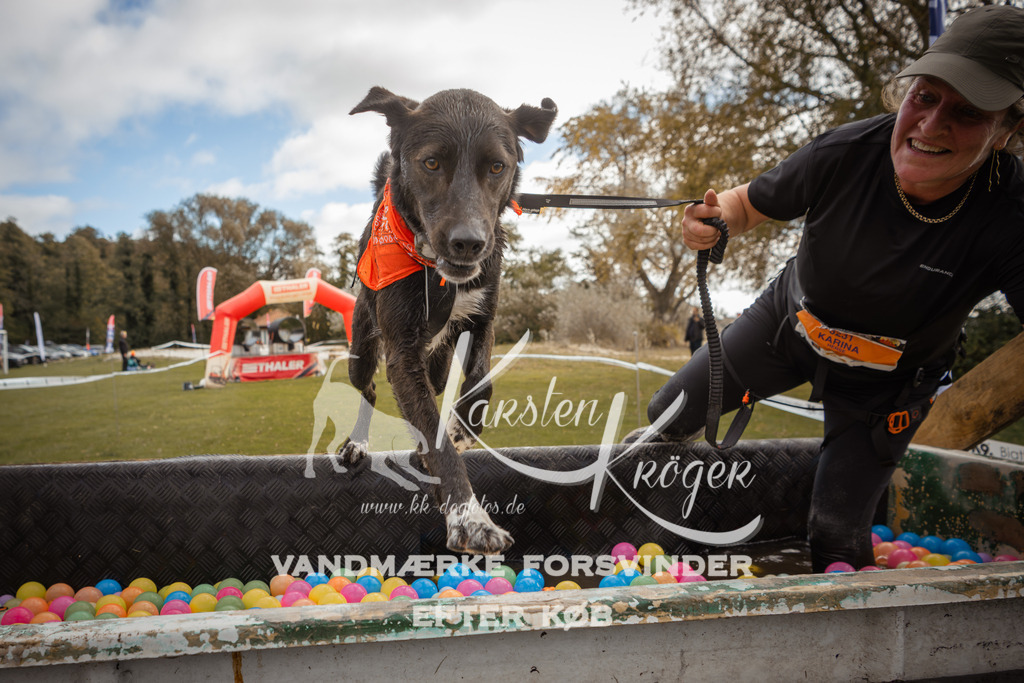 1331_ZZ91126-2 | kk-dogfotos