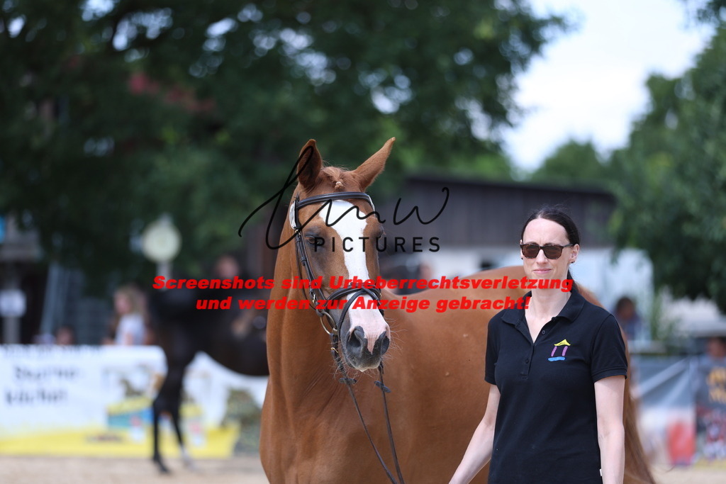 Fohlenschau_Schwäbisch_Hall_springbetonte_Fohlen_SIEGERFOHLEN_KN 22_1 | lmwpictures - Realisiert mit Pictrs.com