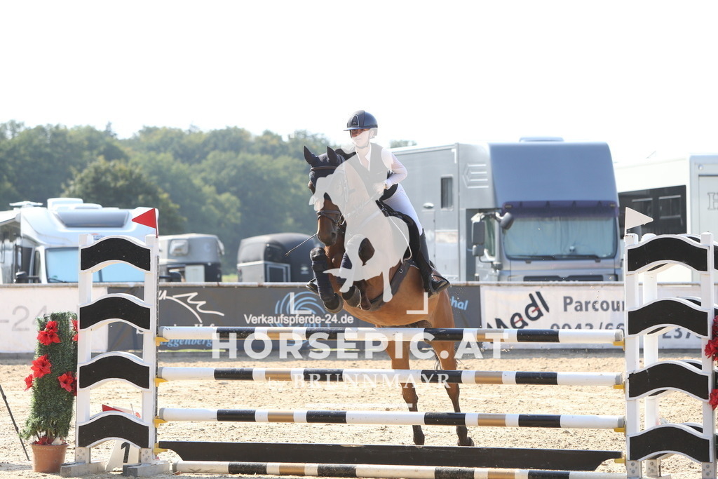 DL2Q2118 | Willkommen bei Brunnmayr - Design & Fotografie – Ihrem Spezialisten für Reitturniere und Pferdeveranstaltungen in Oberösterreich, Salzburg und Bayern! Seit über 17 Jahren sind wir leidenschaftlich dabei.