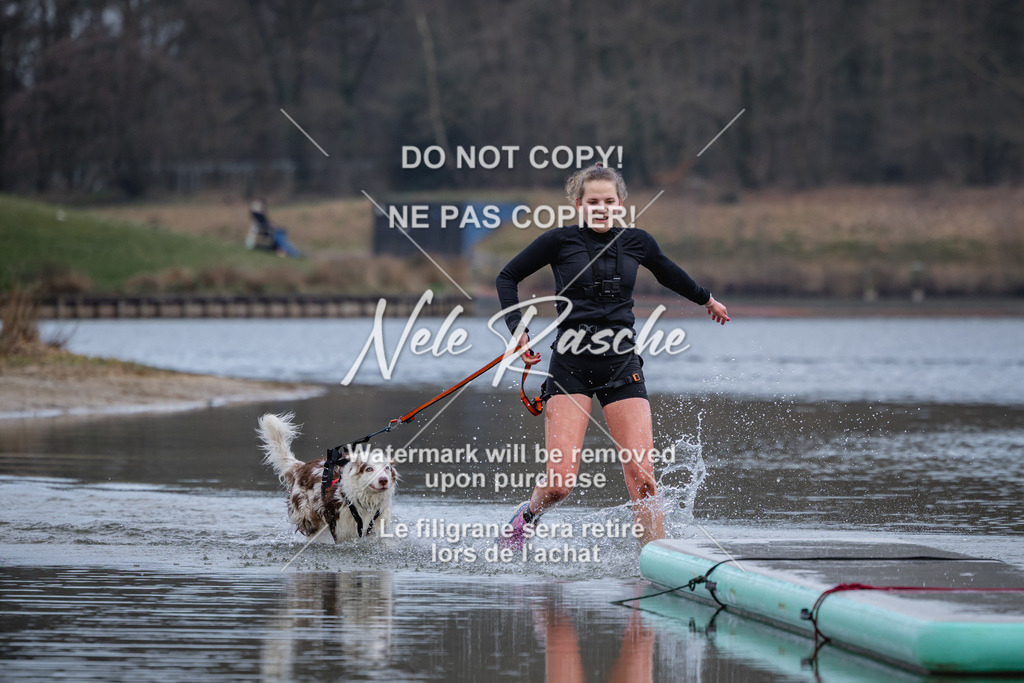 nelerasche_Hulsbeek_Sa1600-1700_612 | nelerasche
