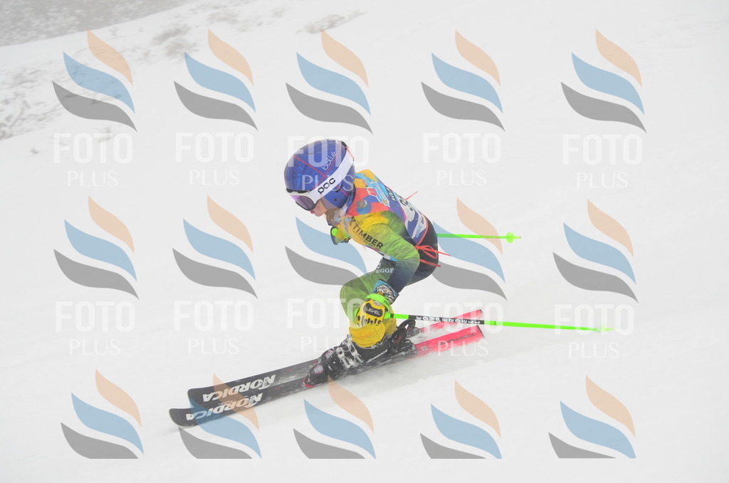 C0804 | holidayphoto