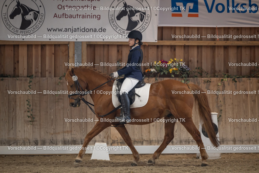 _D5A5767 | Emotionale Pferde- & People-Fotografie rund um Heidelberg, Leimen & Umgebung. Natürliche Fotos von Pferd, Mensch & Familie. Jetzt Termin sichern!