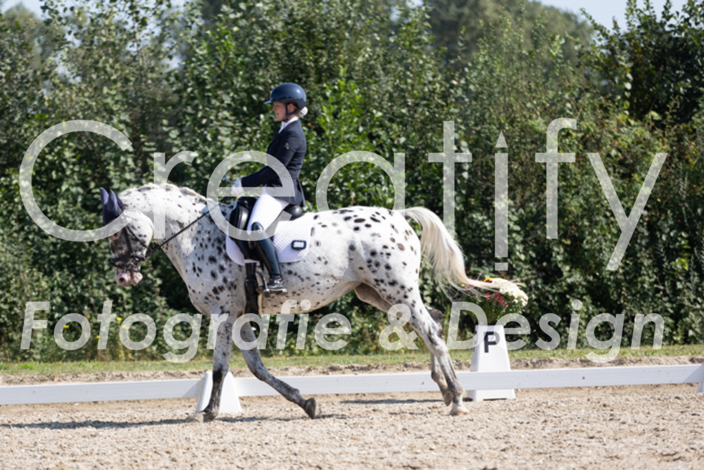 IMG_4681 | Creatify Fotografie