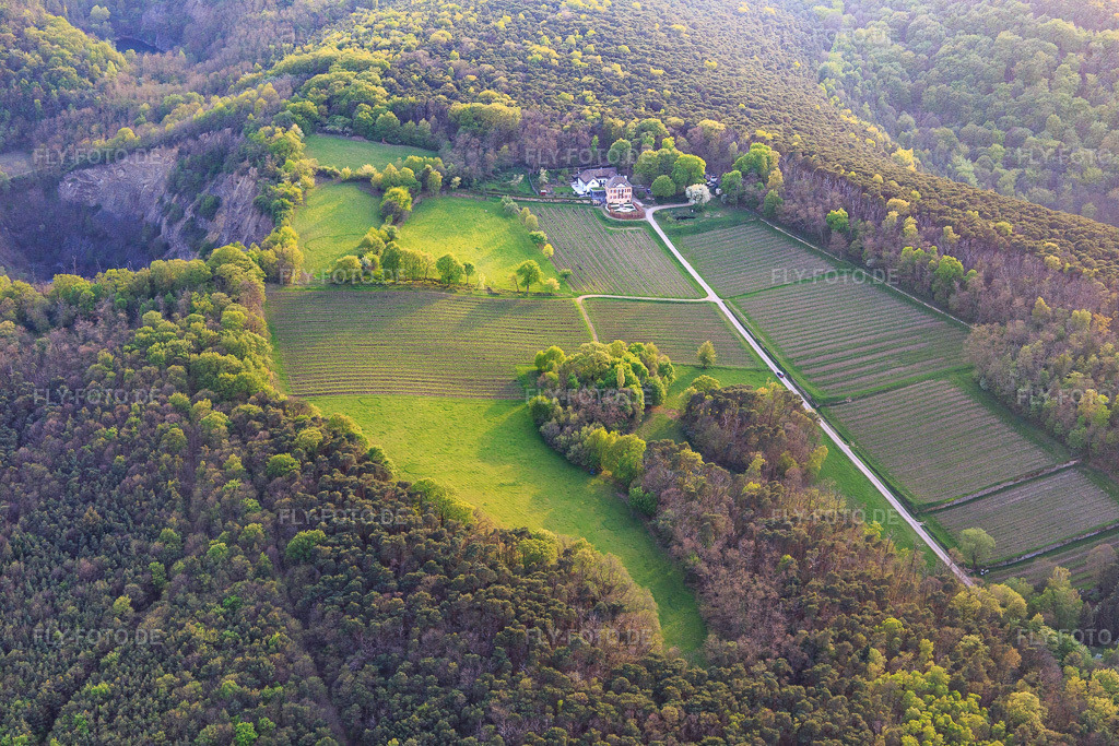 Luftbild: Weingut Odinstal in einer Lichtung auf den Höhen des Pfälzerwalds in Wachenheim an der Weinstraße im Bundesland Rheinland-Pfalz in Deutschland. Foto: IMG_106736.jpg vom 21.04.2018 durch Werner Riehm/FLY-FOTO.deWeingut Odinstal - Wachenheim an der Weinstraße