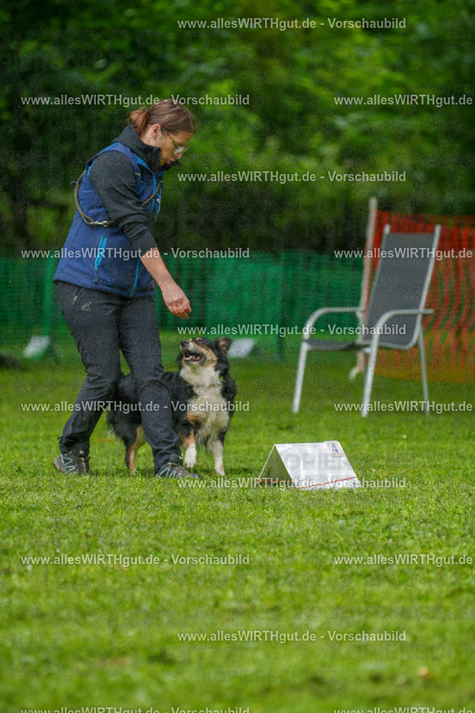 @allesWIRTHgut_Tierfotografie - www.allesWIRTHgut.de - 7R501937 | Professionelle Tierfotografie in Mönchengladbach von Daniel Wirth (allesWIRTHgut). Liebevolle & natürliche Bilder von Hunden & Katzen für unvergessliche Erinnerungen.