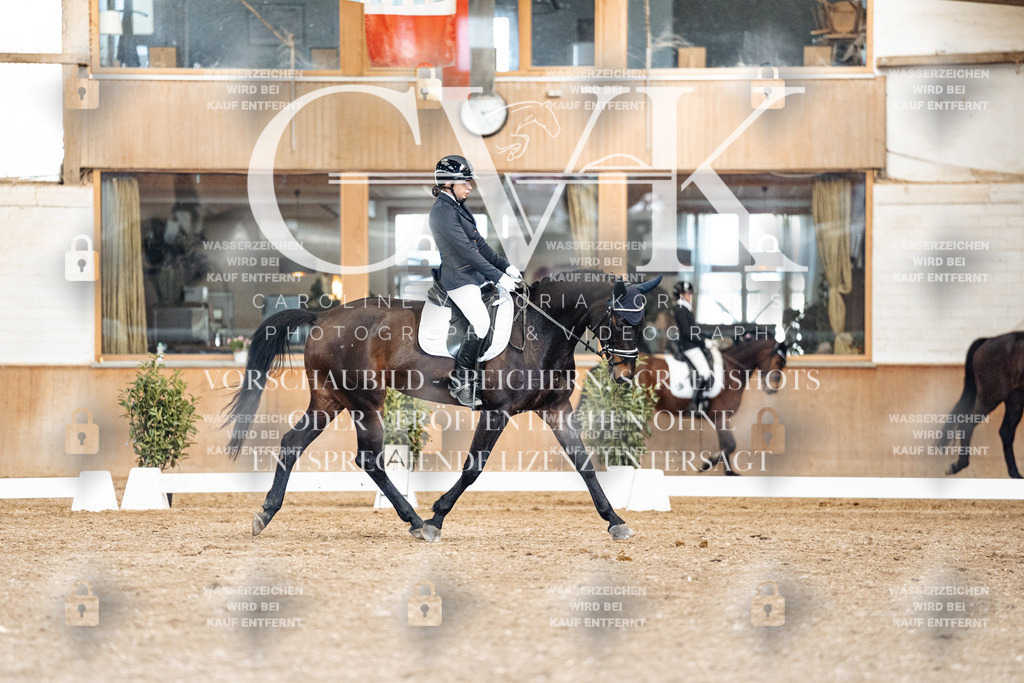 CK901416 | Turnierfotografie Pferdefotografie Trier Rheinland-Pfalz Pferdesport Reitsport Tierfotografie Sportfotografie Pferdevideo Pferdevideografie Equestrianvideography equestrianphotography  - Realisiert mit Pictrs.com