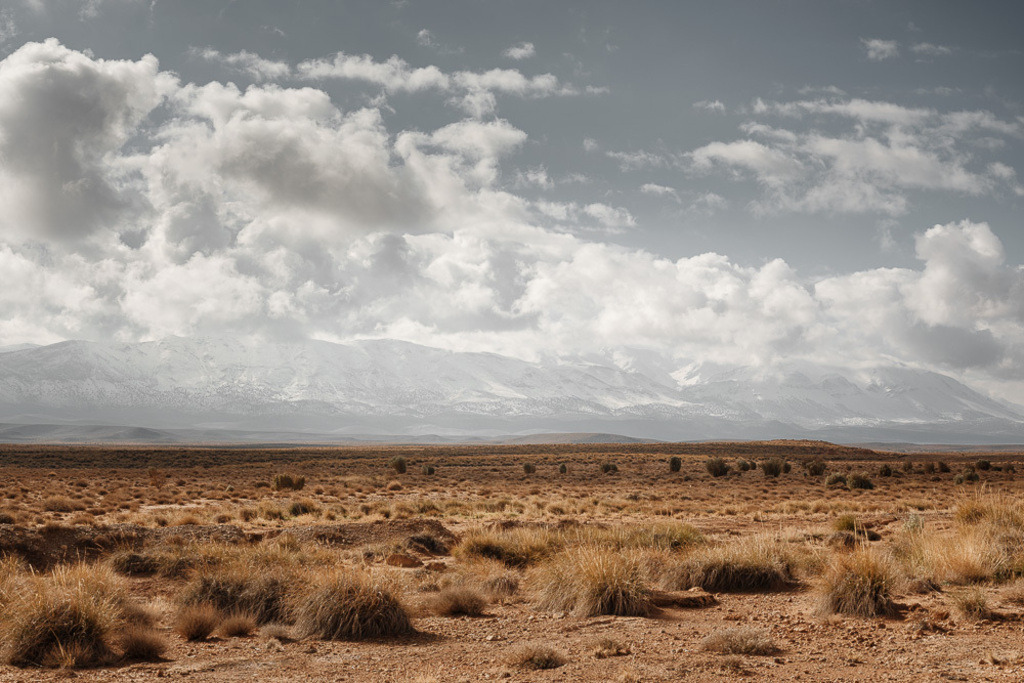 SilvanoPedrett_preview_Desert-42 | silvanopedrett - Realisiert mit Pictrs.com