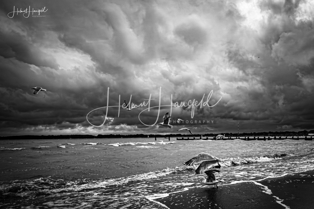 DSC01386 (1)kl | Landschaftsfotografie, Naturfotografie - Realisiert mit Pictrs.com