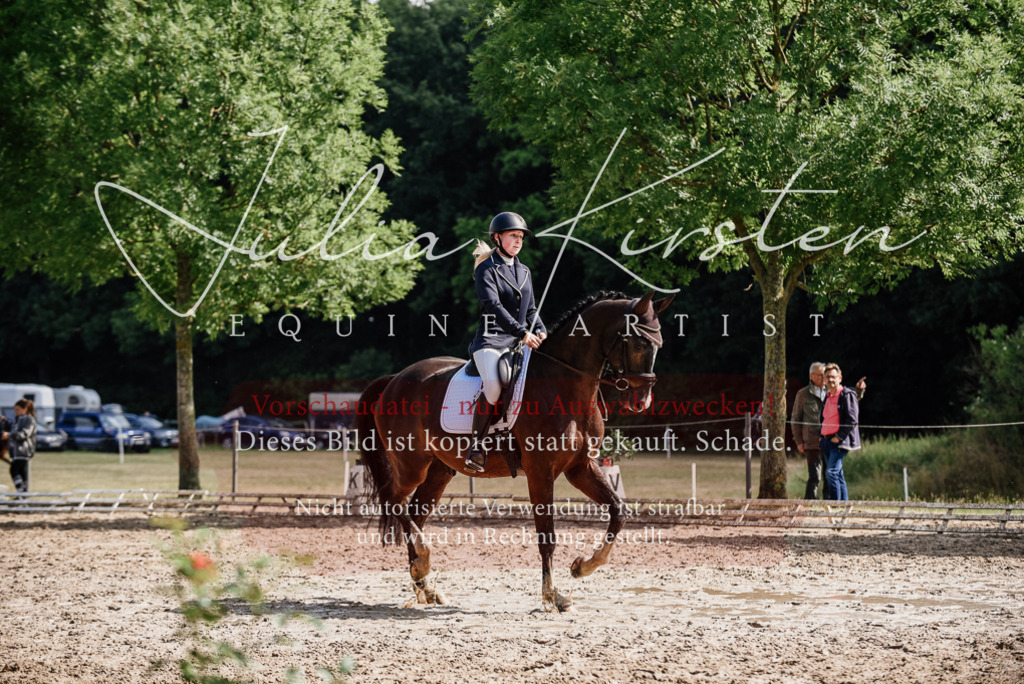 DSC_0128 | Pferde- und Turnierfotografie in Westsachsen. Pferdeportraits, Auftragszeichnungen und intuitive Kunst.
