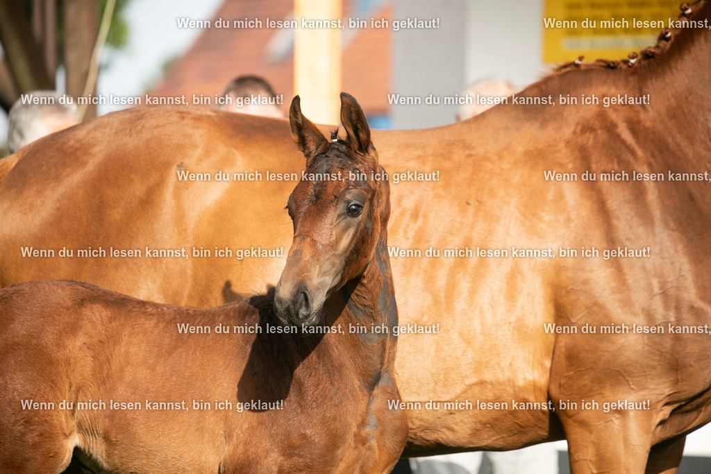 598A7280 | photographylinaismer - Realisiert mit Pictrs.com