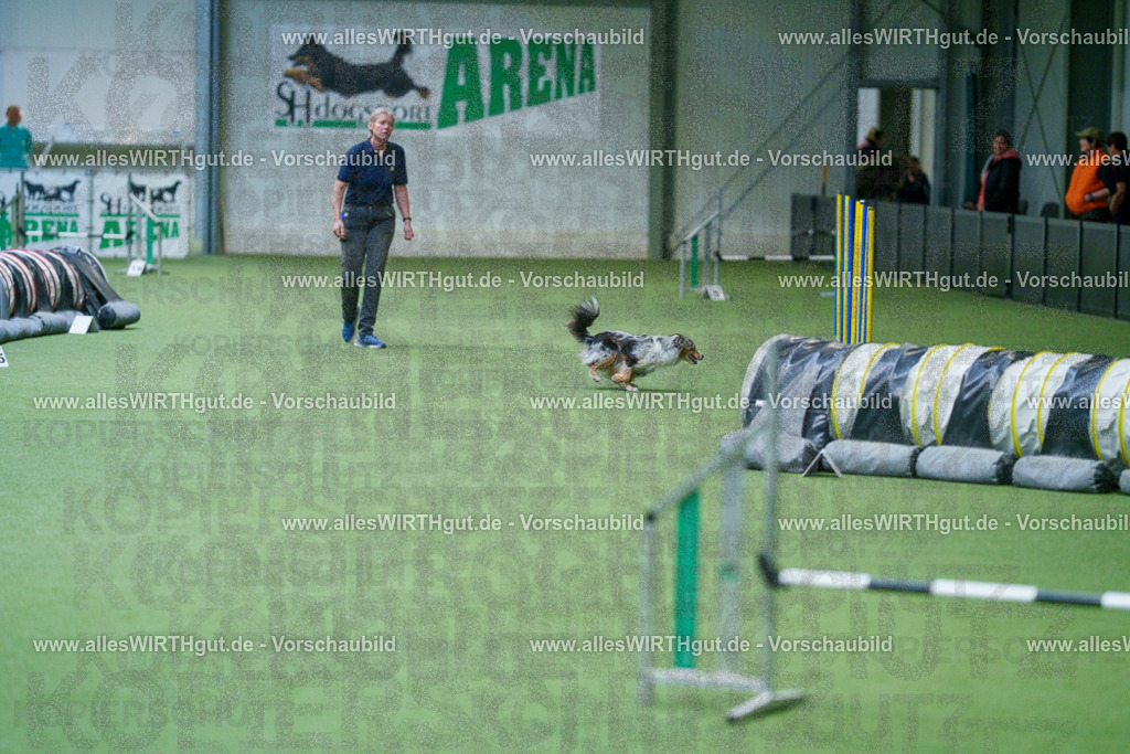 @allesWIRTHgut_Tierfotografie - www.allesWIRTHgut.de - 2604250958-7R509339 | Professionelle Tierfotografie in Mönchengladbach von Daniel Wirth (allesWIRTHgut). Liebevolle & natürliche Bilder von Hunden & Katzen für unvergessliche Erinnerungen.