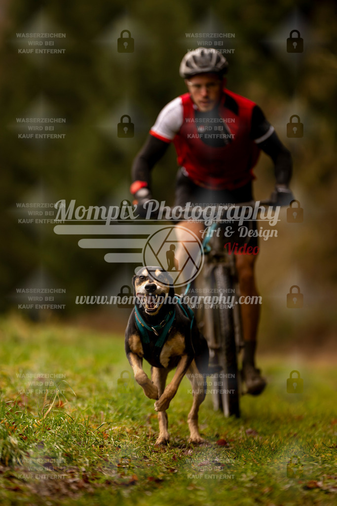 MompixPhotography_2SSTSSBW_2025_SO_Bike-14 | PayLife