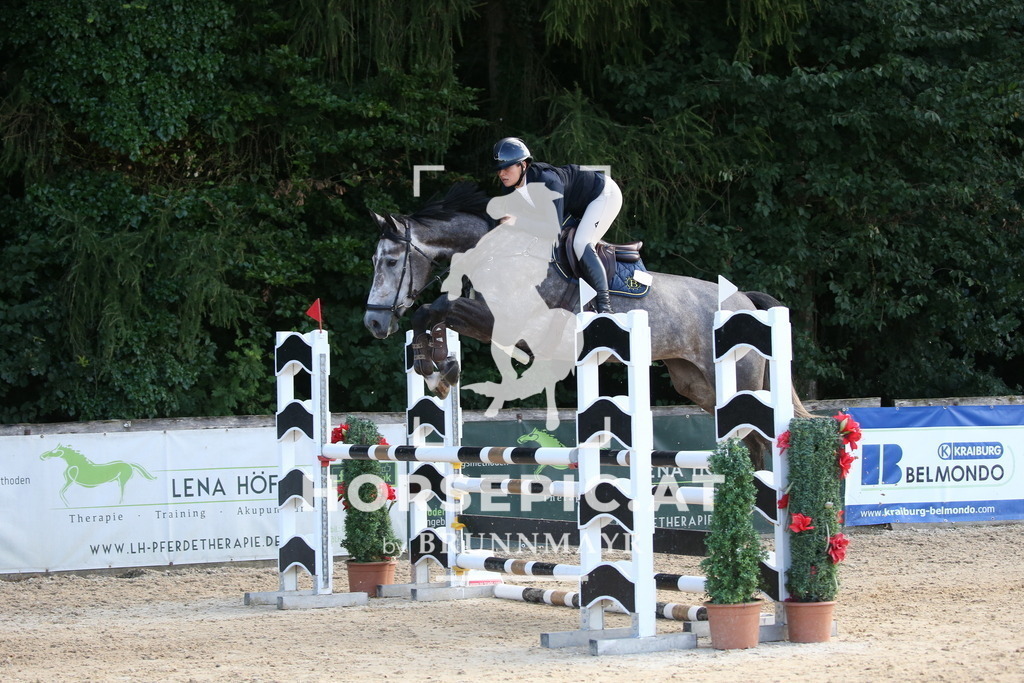 DL2Q3493 | Willkommen bei Brunnmayr - Design & Fotografie – Ihrem Spezialisten für Reitturniere und Pferdeveranstaltungen in Oberösterreich, Salzburg und Bayern! Seit über 17 Jahren sind wir leidenschaftlich dabei.