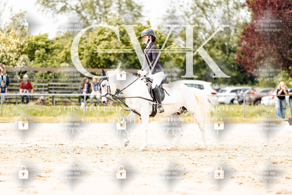 CK902273 | Turnierfotografie Pferdefotografie Trier Rheinland-Pfalz Pferdesport Reitsport Tierfotografie Sportfotografie Pferdevideo Pferdevideografie Equestrianvideography equestrianphotography  - Realisiert mit Pictrs.com