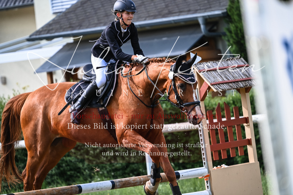 DSC_7965 | Pferde- und Turnierfotografie in Westsachsen. Pferdeportraits, Auftragszeichnungen und intuitive Kunst.