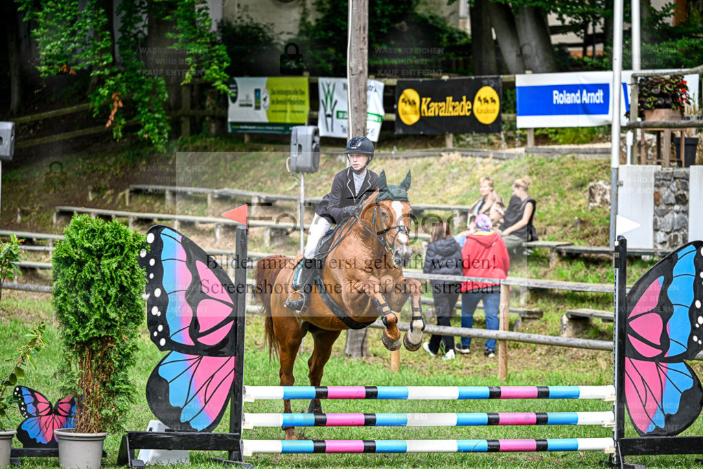 Bissendorfer Reitertage | Entdecke hochwertige Reitturnierfotos von Foto Oger. Professionell, emotional und authentisch – jetzt Lieblingsmomente im Shop bestellen. - Realisiert mit Pictrs.com