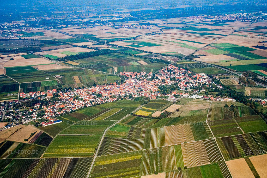 Ortsansicht von Süden | Luftbild: Ortsansicht von Süden in Insheim im Bundesland Rheinland-Pfalz in Deutschland. Foto: IMG_8315.jpg vom 06.10.2007 durch Werner Riehm/FLY-FOTO.de - Realisiert mit Pictrs.com