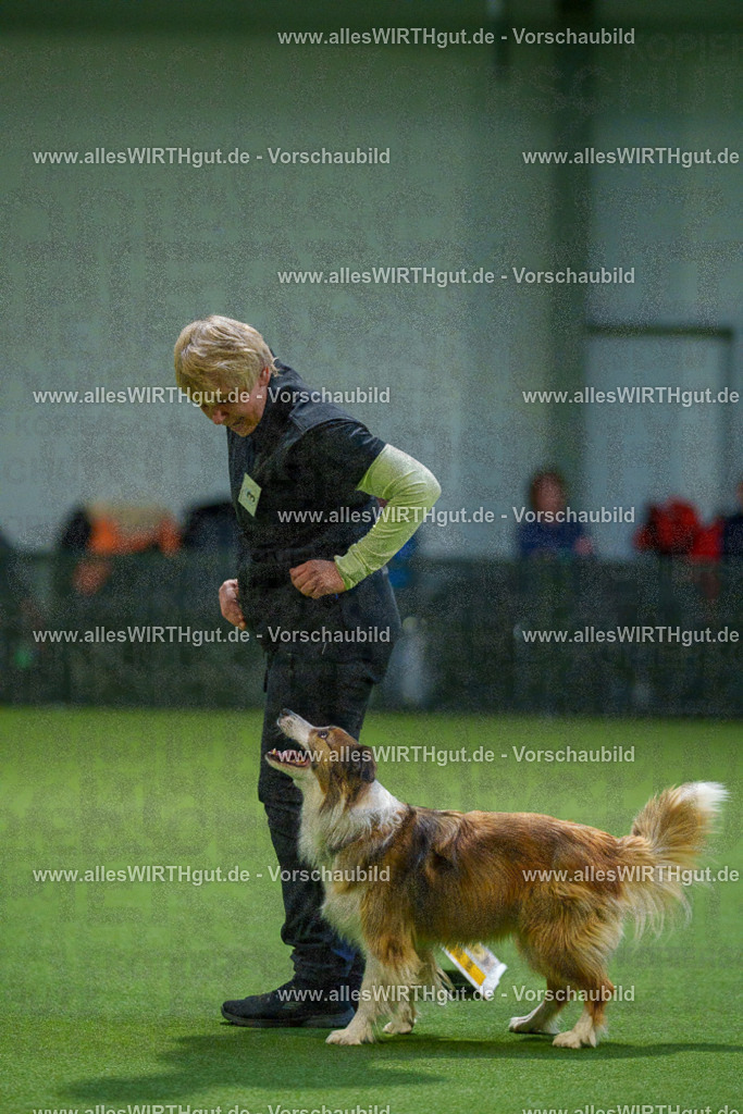 7R509739 | Professionelle Tierfotografie in Mönchengladbach von Daniel Wirth (allesWIRTHgut). Liebevolle & natürliche Bilder von Hunden & Katzen für unvergessliche Erinnerungen.