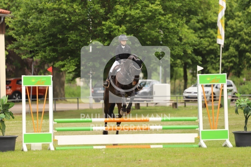 IMG_7436 | Pauline Ullmann Photography - Realisiert mit Pictrs.com