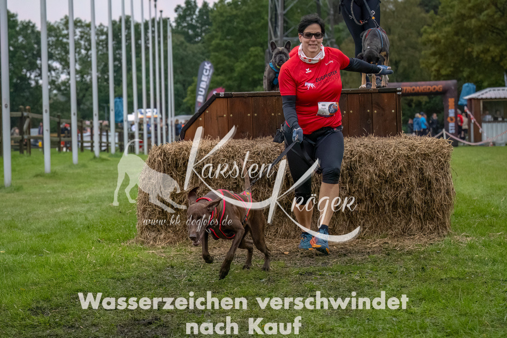 1210--3 | kk-dogfotos