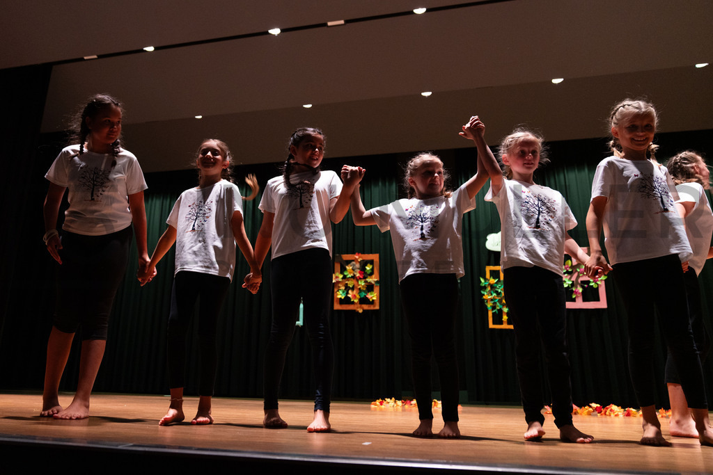 _DSC2016 | Tinu Müller Fotografie- Bildershop - Realisiert mit Pictrs.com