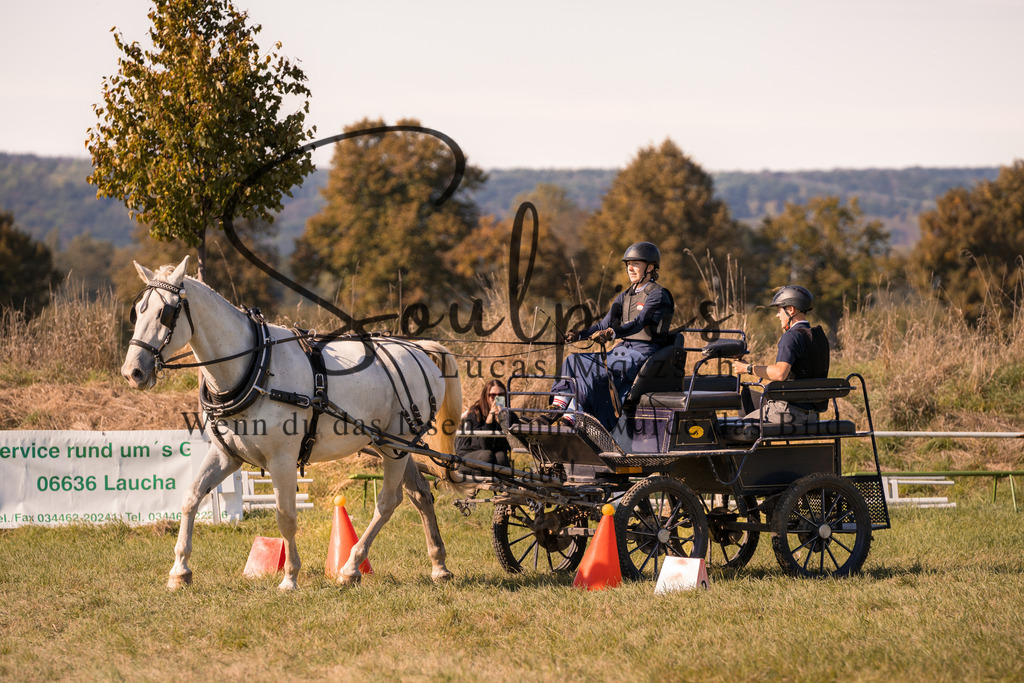A7V04329 | Pferdefotograf