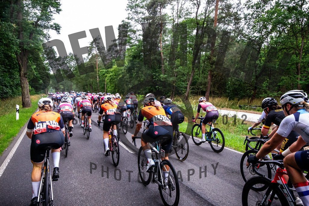 _DSC4925 | Drew Kaplan Photography