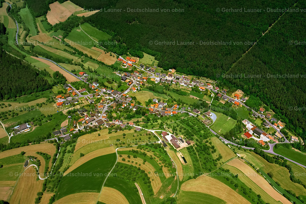 9707386 | Weckbach 1997