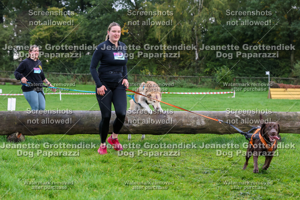 Dog Paparazzi -  SD1026-2058 | Dog Paparazzi Jeanette Grottendiek Fotografie & Videografie - Realisiert mit Pictrs.com