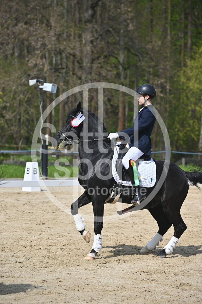 DSC_1516 | sattelsport - Realisiert mit Pictrs.com